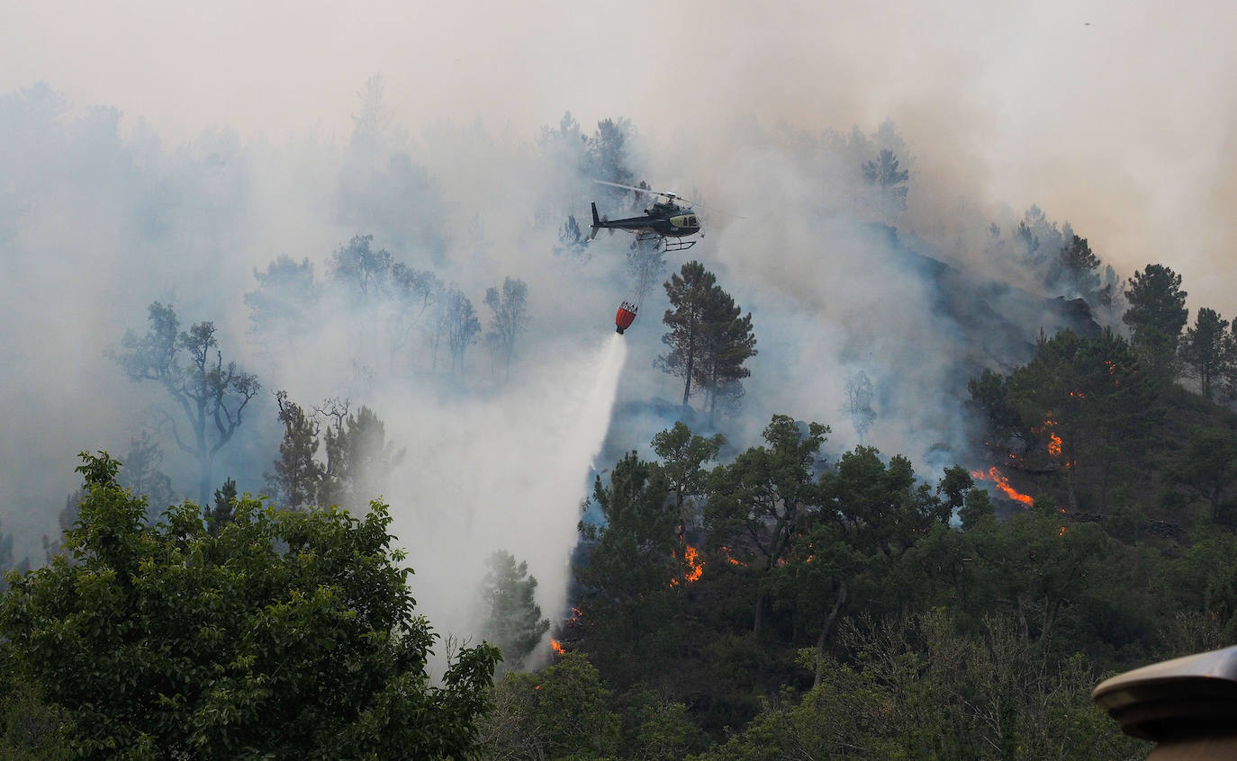 Fotos Más De 30 Incendios Calcinan Miles De Hectáreas Y Obligan A Evacuar A Los Vecinos El 8197